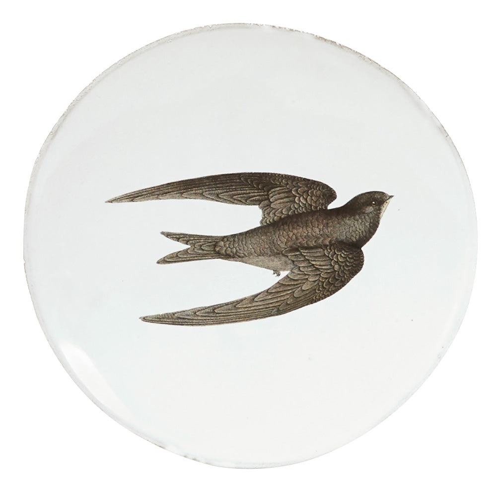 Astier de Villatte Swallow Plate | Jayson Home