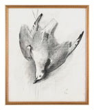 Antique Framed Bird Study II