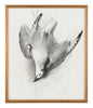 Antique Framed Bird Study II