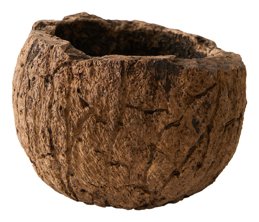 Mayan Coconut Bowl