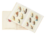 John Derian Picture Books: Collector's Edition