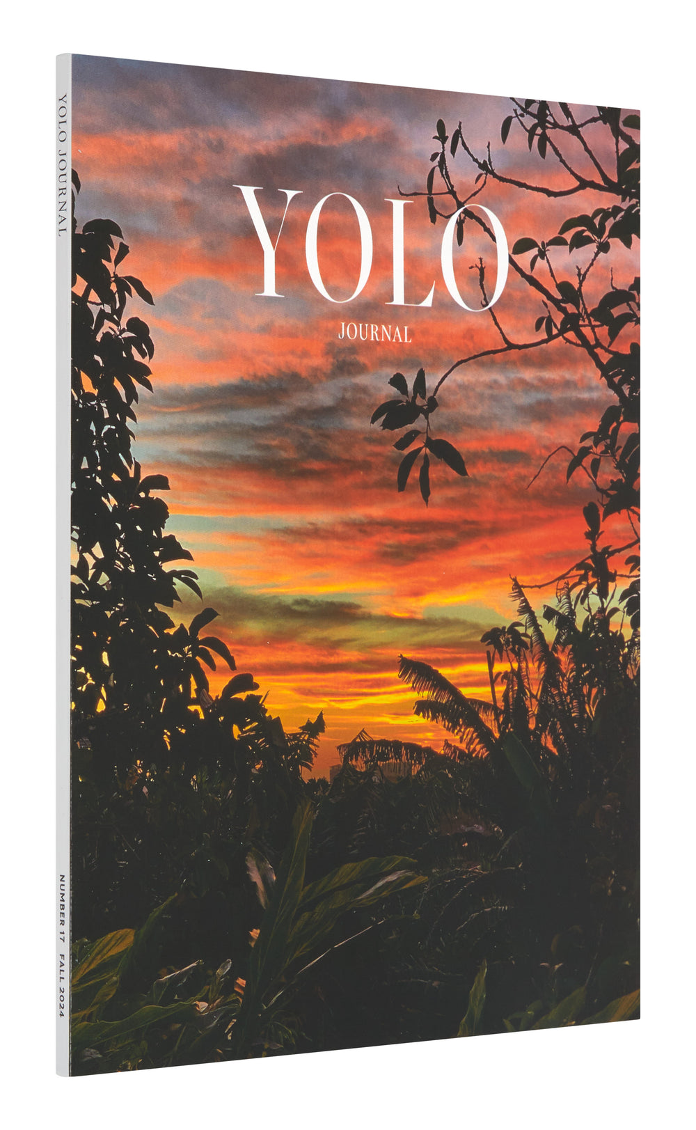 Yolo Journal #17