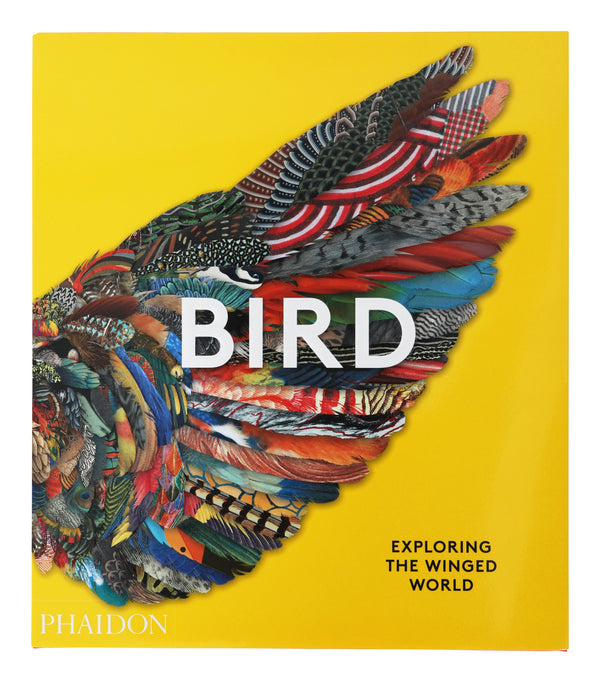 Bird: Exploring the Winged World & Jayson Home