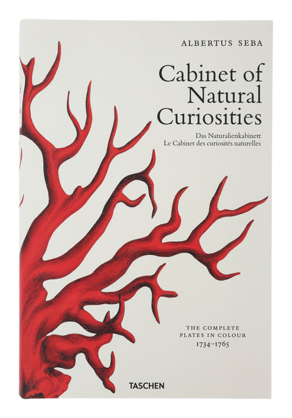 Cabinet of Natural Curiosities | Jayson Home
