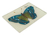 Blue Butterfly Tray #3