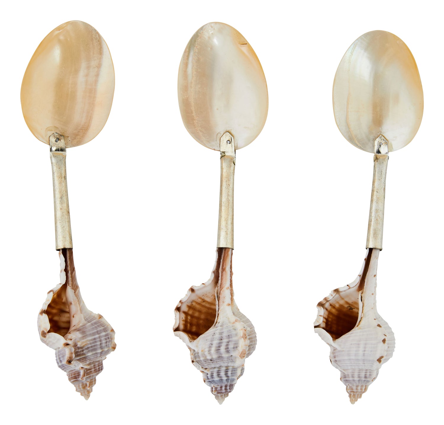 HIC Maine Man Natural Baking Shells Small 6 Pc. - Spoons N Spice