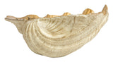 Gilt Shells